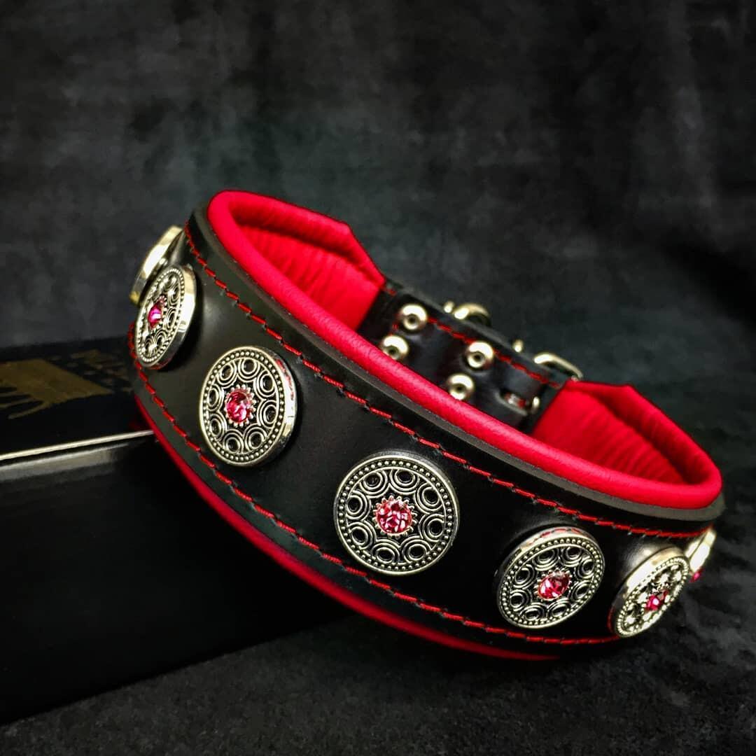 Dog collar black & red