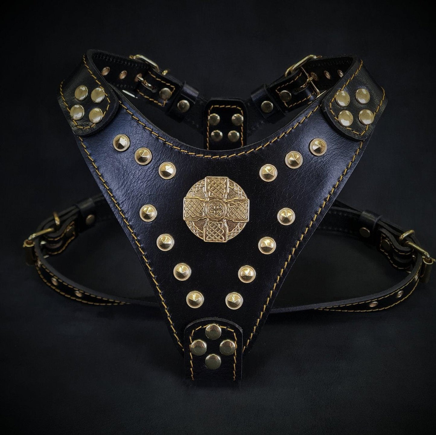 Harness Black & Gold