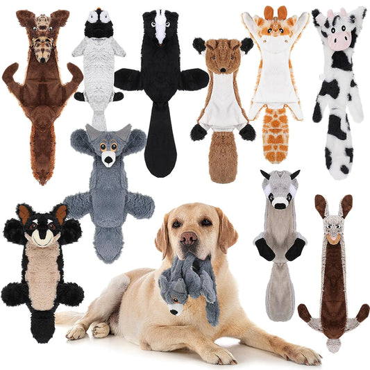 10 Pcs Dog Squeaky Toys No Stuffing