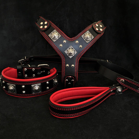 BIG dog SET- Harness - collar - lead. Black & Red