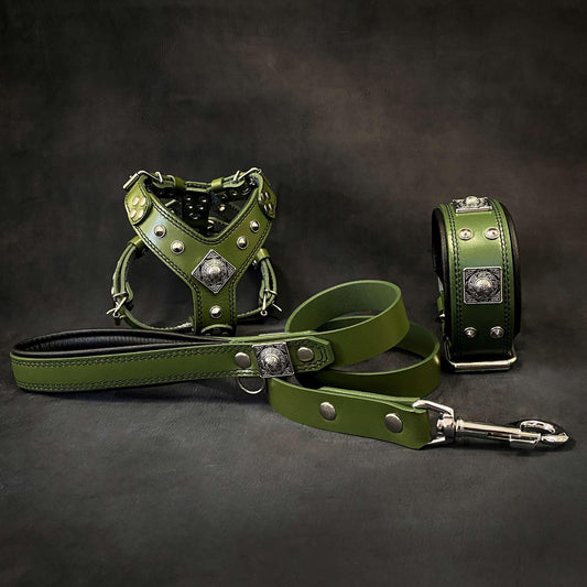 Harness - collar - lead. Green