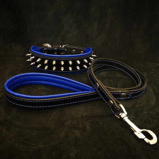 Dog Set- collar & leash. Blue