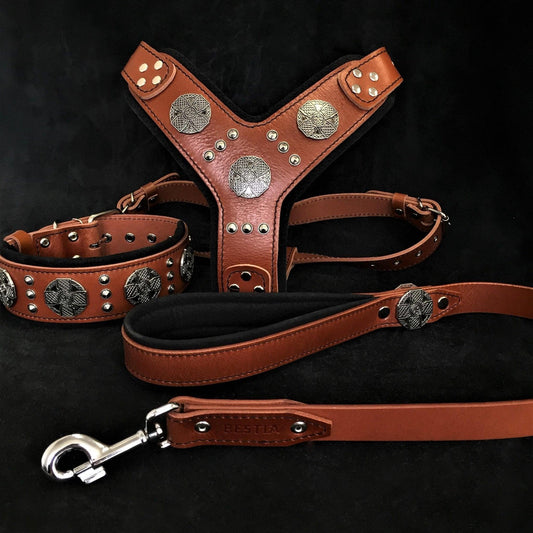 BIG dog SET- Harness - collar - lead. Brown