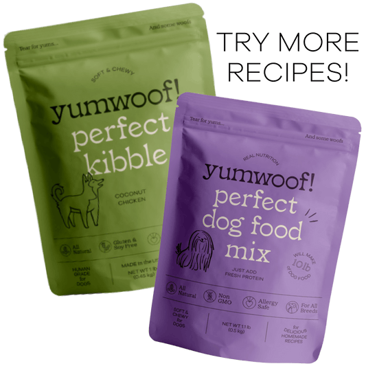 Picky Eater Starter Pack - Add Perfect Kibble Coconut Chicken (14 oz) + Perfect Dog Food Mix
