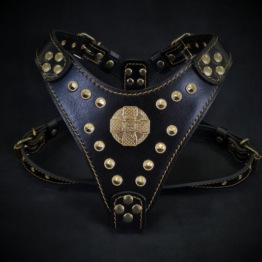 Harness Black & Gold